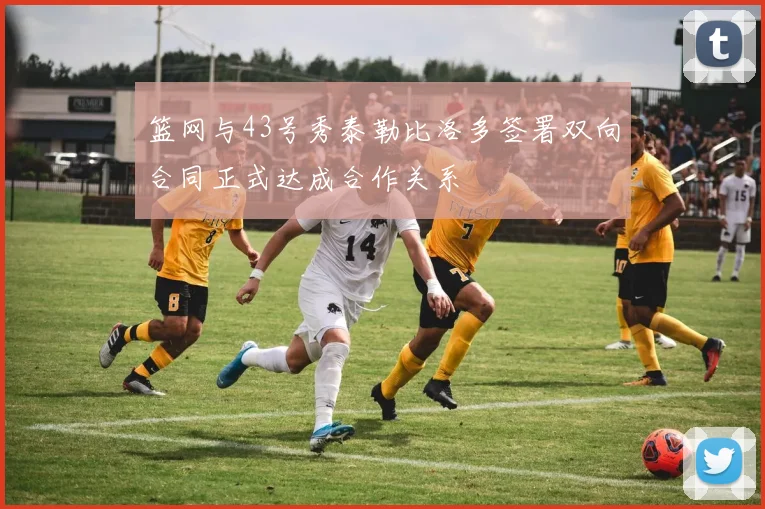 篮网与43号秀泰勒比洛多签署双向合同正式达成合作关系